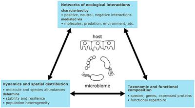 Microbiome modeling: a beginner's guide